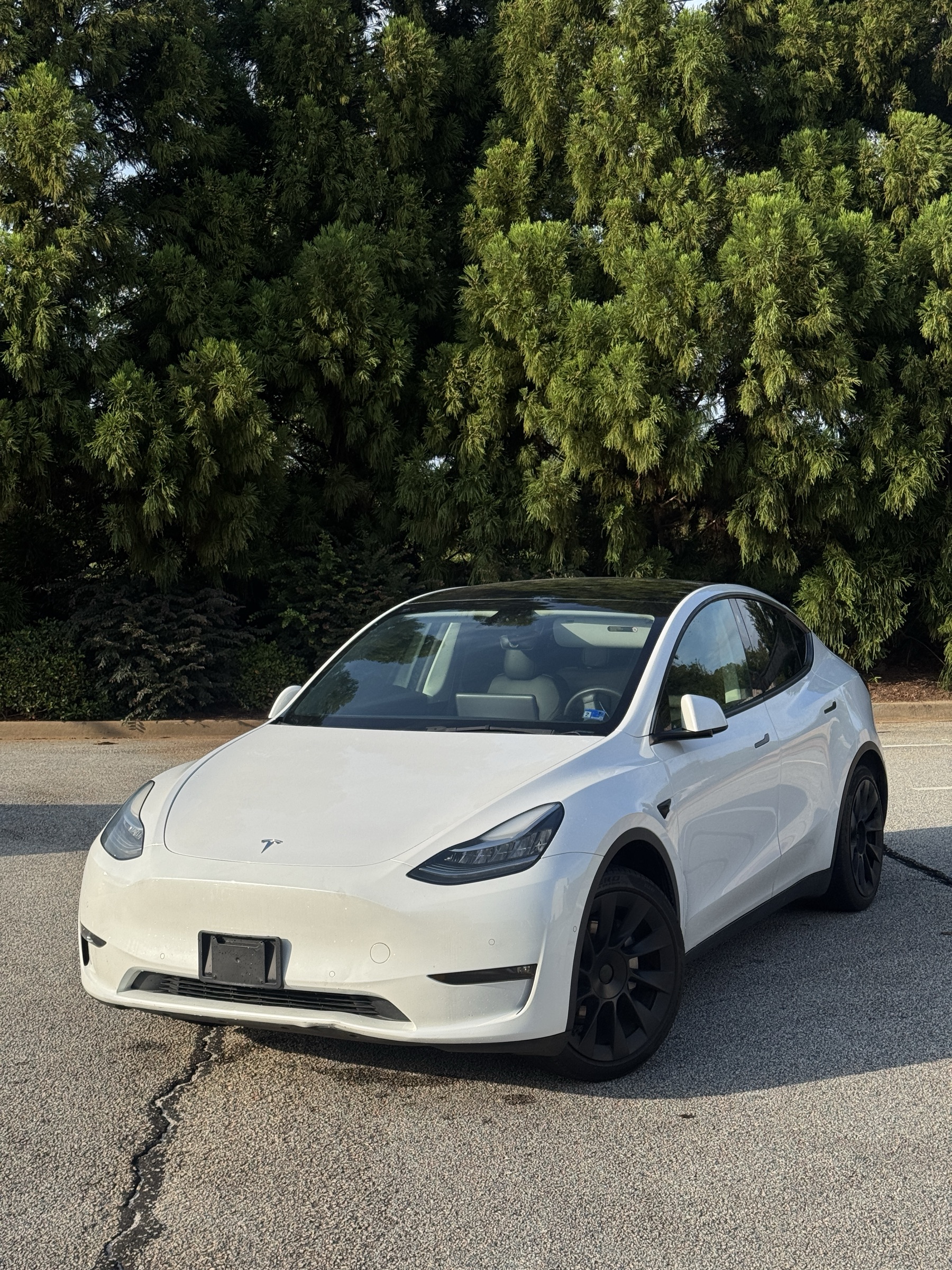 2021 Tesla Y